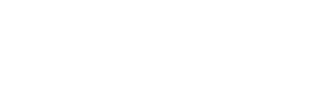 Speedy Bet
